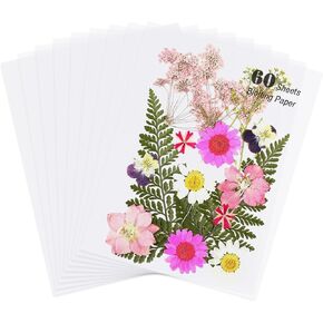 60 Sheets Blotting Paper for Flower Press, 6 x 8 inch A5 Flower Press Blotter Paper, Highly Absorbent Reusable Herbarium Press Refill Lining Paper Sheet for Papermaking, Dry Flowers Craft