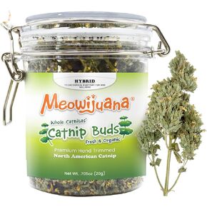 Meowijuana | Catnip Pawty Mix Jar | Premium Organic Catnip | Grown in North America | Irresistible Blend for Feline Entertainment | Perfect for Cat Toys | Fresh Catnip for Extended Playtime