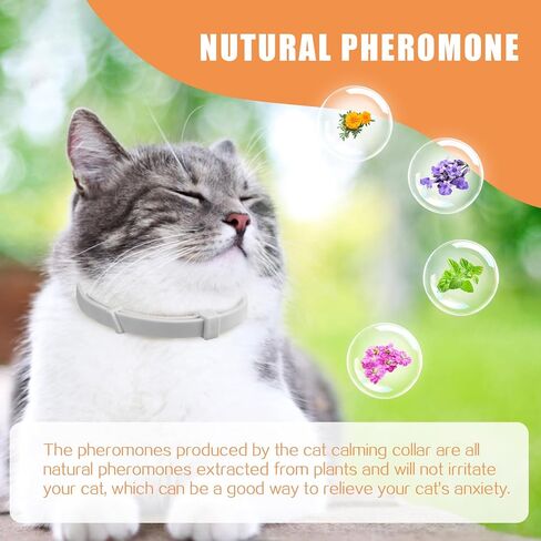 Nodfens 6 Pack Cat Calming Collar, Calming Collar for Cats Cat Pheromones Calming Diffuser Adjustable Size Cat Anxiety Relief Up to 30 Days in Kuwait
