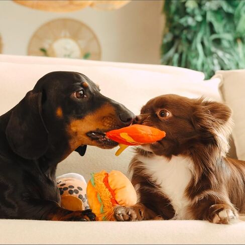 ألعاب Dog Deceaky - مجموعة ألعاب من ألعاب Dog 4 -in -1 - ألعاب كلب لطيف مع حقيبة مرحة ولعب للكلاب الصغيرة والمتوسطة والبرغر والبطاطا المقلية وألعاب مشروب بوبا - ألعاب الكلاب الناعمة للحساسية واللعب in Saudi Arabia