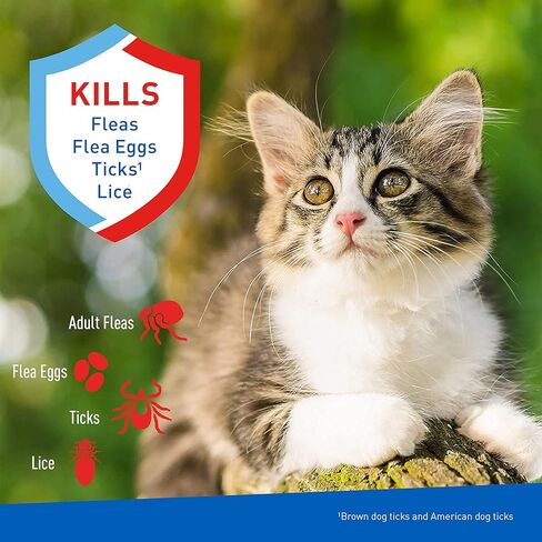 Adams Flea & Trick تطهير الشامبو للقطط. برغوث وعلاج القطار للقطط والقطط. يقتل البراغيث ، بيض البراغيث ، القراد الكلب البني ، القراد الكلب الأمريكي ، والقمل ؛ 12 أوقية in Kuwait