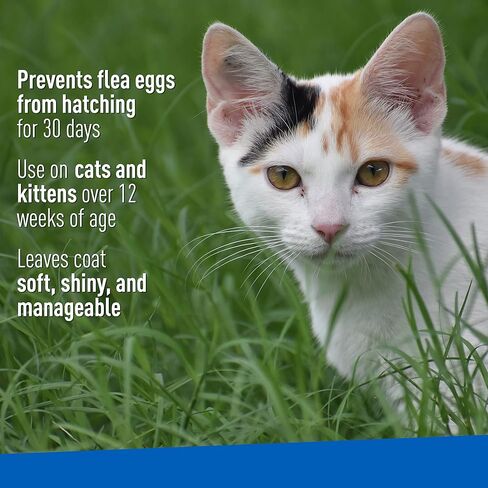 Adams Flea & Trick تطهير الشامبو للقطط. برغوث وعلاج القطار للقطط والقطط. يقتل البراغيث ، بيض البراغيث ، القراد الكلب البني ، القراد الكلب الأمريكي ، والقمل ؛ 12 أوقية in Kuwait