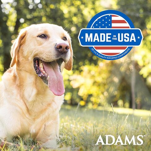 Adams Flea & Trick تطهير الشامبو للقطط. برغوث وعلاج القطار للقطط والقطط. يقتل البراغيث ، بيض البراغيث ، القراد الكلب البني ، القراد الكلب الأمريكي ، والقمل ؛ 12 أوقية in Kuwait
