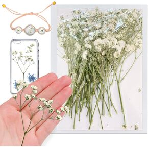 42PCS White Natural Dried Flowers Babysbreath with Stem for Resin, Real Pressed Gypsophila Flowers, Dry Flowers for Resin Jewelry DIY Phone Case Crafts Candle Making House Decor