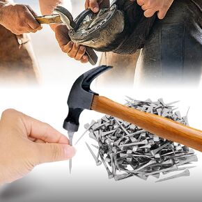 250pcs e5 Horseshoe Nails 2 بوصة من الفولاذ المقاوم للصدأ الحدوة حصان الأظافر الحصان حافر أدوات حدوة الحصان للزجاج الملون ، تدريب الخيول الرياضة الفروسية