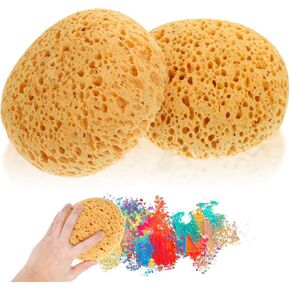 2 Pcs Texture Sponge Wall Ceiling Drywall Patch Sponge Repair Home Decor Sponge Artist Craft Sponge for DIY Art Painting Acrylic Watercolor Marbling Pottery Ceramics Texturing Leather Care