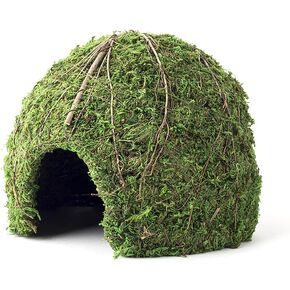 Galapagos (05366 Mossy Dome Hide ، 6 in ، Galápagos Green
