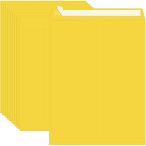 100 Pack Self Seal Catalog Mailing Envelopes 10"x13", 110 GSM Paper Manilla Envelopes Peel and Seal for Organizing and Storage
