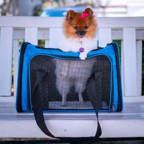 Pet Carrier, Dog Carrier, Cat Carrier for Small to Medium Animals up to 15 Lbs, Collapsible TSA Airline Approved Carrier for Travel on Most Airlines - Blue