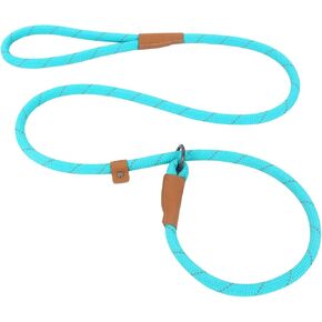 Slip Lead Dog Leash, Reflective Mountain Climbing Rope Leash, Dog Training Leash – 5FT, 2 Sizes (Medium, Turquoise)