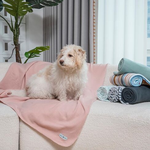 Fleece Throw Blanket Set Bulk for Travel Kids Outdoor Wedding Pet (Assorted #2, Pack of 6 50x60 Inches) in Kuwait