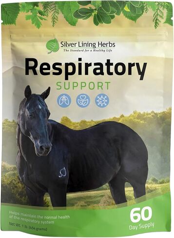 Silver Lining Herbs 22 Respiratory Support for Horses - Supports Normal Function of The Lungs - Helps Keep Airways Clear - Assists Horse's Body in Combating Environmental Pollutants - 1 lb Bag in Kuwait