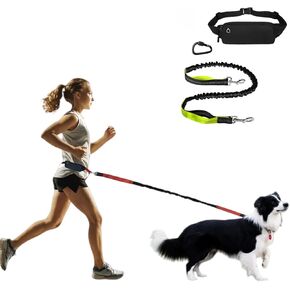 Versatile Fanny Back with a Hand-Free Leash（51in），Retractable Leash perfectlly for Dog Walking and Jogging. Fanny Back(Black) Ideal for The Medium to Large-Breed Dogs.