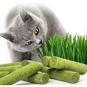 30g Cat Grass Bearghing عصا ، تجميد العشب المجفف العشب عصا الصالحة الصالحة الصالحة للأكل لعبة مضغ لتنظيف الأسنان صحة الأسنان وإزالة كرة الشعر