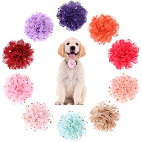 10 Pcs Dog Collar Flowers Chiffon Multi Color Dog Flower Bow Ties 4 Inch Puppy Charms Flower Collars for Puppy Collar Grooming Accessories
