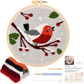 JSRQT Punch Needle Kit for Beginners, Punch Needle Embroidery Kit with Bird Pattern for Adult Kids, DIY Cross Stitch Rug Beginners Kits, Punch Needle Starter Kit with Punch Needle Tool for Home Decor
