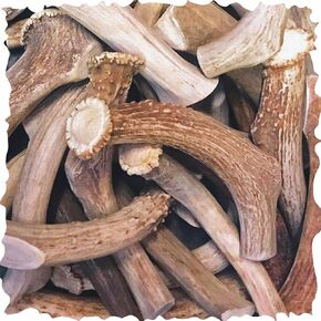 WhiteTail Naturals - Bulk Deer Antlers for Dogs (1 Pound Pack) Antler Chews - Naturally Shed, Long Lasting Dog Bones for Aggressive Chewers.