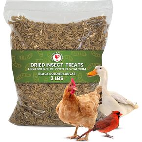 Dried Black Soldier Fly Larvae Chicken Treats for Hens, Duck, Wild Birds, Lizard, Tortoise, Fish - All Natural High Protein Dried Mealworms Alternative - Made in North America