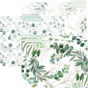 bloom daily planners Decorative File Folders - Set of Six Letter Size (8.5" x 11") Organizers, 1/3 Cut Tabs - Assorted Designs - Eucalyptus