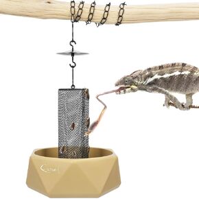 Chameleon Feeding Bowl, Hanging Insect Feeder with a Pillar for Prey to Climb Up, Suitable for Chameleon, Bearded Dragon, Lizard, Iguana, Gecko(Green)