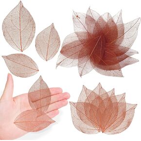 Brown Natural Skeleton Leaves for Resin, 42PCS Real Dried Pressed Dry VajraSkeleton Leaf for Resin Mold Art DIY Craft Candle Making Phone Case Home Wedding Decor