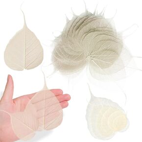 Dried Pressed Skeleton Leaves for Resin, 42PCS White Natural Real Dry BodhiSkeleton Leaf Vein for Resin Art DIY Craft Card Scrapbooking Candle Making Phone Case Wedding Decoration
