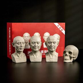 4Pack Standard Planar Head, Model for Artists Learn Planes of Face, Human Manikin Head for Medical and Artistic Drawing Sketching Painting, Color White (Middle Aged Male)