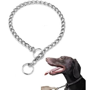Dog Chain Collars, Metal Choke Link Dog Collar Choker Training Heavy Duty Slip Martingale Puppy Collars for XS Small Medium Large Big XL Breed Dogs (Silver, L(Neck Max 20inch) D3.5mm)