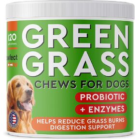 Green Lawn Chews for Dogs - Green Grass Chews - Urine Neutralizer Grass Burn Spots - Lawn Burn from Dog Urine - Probiotics & Enzymes - Made in USA - Bacon Flavor - 120 Lawn Saver Chews