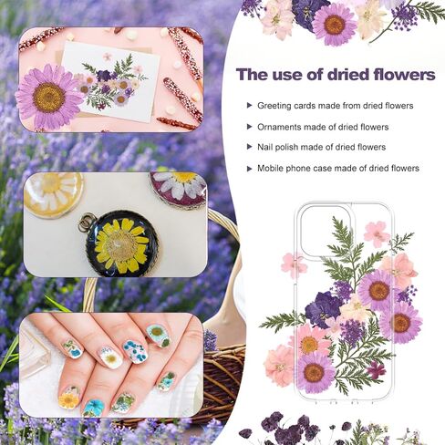 Eshow 40Pcs Dried Pressed Flowers Resin, Dry Flowers for Resin Accessories with Tweezer, Dried Flower for Scrapbooking DIY Art Crafts, Epoxy Resin Jewelry Molds, Candle, Nails Décor in Kuwait