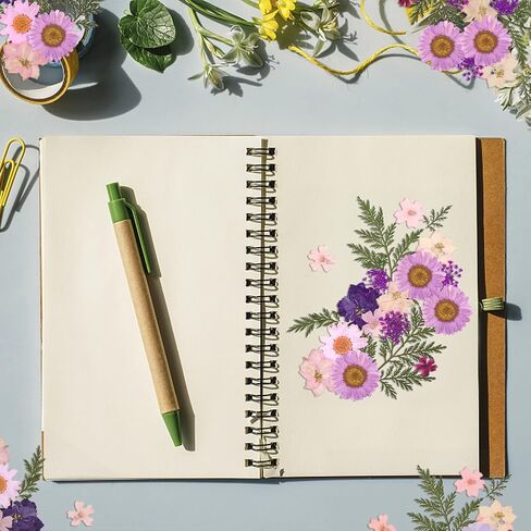 Eshow 40Pcs Dried Pressed Flowers Resin, Dry Flowers for Resin Accessories with Tweezer, Dried Flower for Scrapbooking DIY Art Crafts, Epoxy Resin Jewelry Molds, Candle, Nails Décor in Kuwait