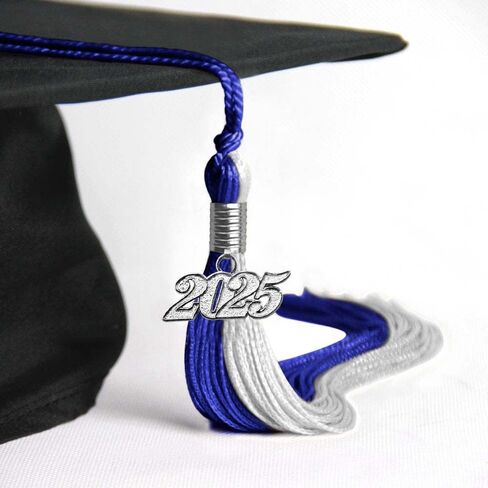 تاسيل تخرج مزدوج تخرج مع انخفاض تاريخ الفضة (Royal Blue/White ، 2025) in Kuwait