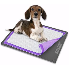 Skywin- Pee Pad Holder Tray 30 x36 Inches, 2 Pack Puppy Pad Holder, Easy to Clean and Store Pee Pad Holder for Dogs, Silicon Training Pad Holder, No Spill Puppy Pad Holder (Grey)