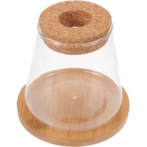 GANAZONO Small Glass Betta Fish Tank with Wood Lid and Bamboo Stand Table Hydroponic Plants Terrarium Desktop Clear Fish Bowl for Home Decoration
