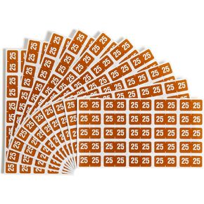 Smead ETS Color-Coded 2025 Year Labels, 1" x 1/2", Pack of 250, Brown (67925)