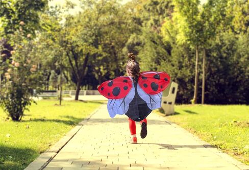 Insect Lore Ladybug Dress-Up Wings Kids Costume in Saudi Arabia