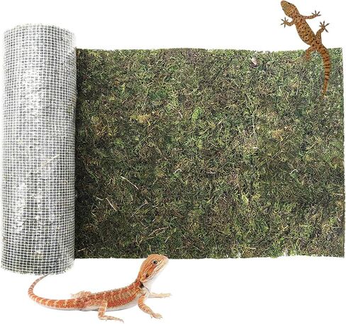 kathson Reptile Carpet, Natural Moss Mat for Terrarium, Bearded Dragon Tank Flooring Green Substrate Liner for Leopard Gecko Hermit Crab Lizard Tortoise (39.37" X 11.81") in Saudi Arabia