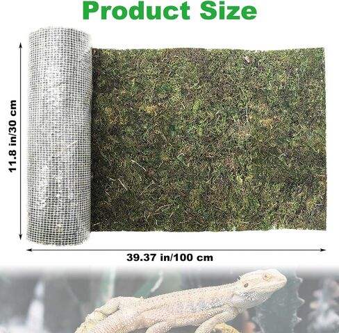 kathson Reptile Carpet, Natural Moss Mat for Terrarium, Bearded Dragon Tank Flooring Green Substrate Liner for Leopard Gecko Hermit Crab Lizard Tortoise (39.37" X 11.81") in Saudi Arabia