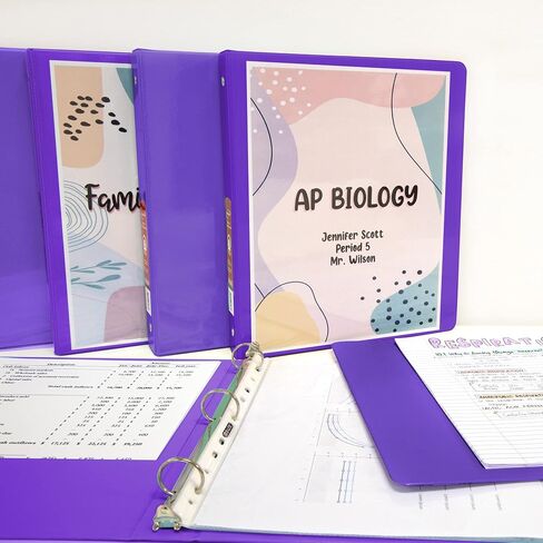 BAZIC 4127 1" Purple 3-Ring View Binder w/ 2-Pockets in Saudi Arabia