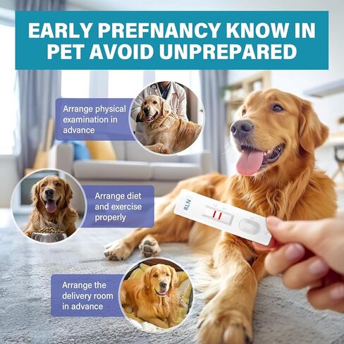 Dog Pregnancy Test, Accurate and Fast Pet Early Detection Pregnancy Test, Convenient & Disposable Pregnancy Tests Strip for Dogs and Cats at Home in Saudi Arabia
