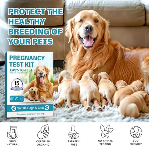 Dog Pregnancy Test, Accurate and Fast Pet Early Detection Pregnancy Test, Convenient & Disposable Pregnancy Tests Strip for Dogs and Cats at Home in Saudi Arabia