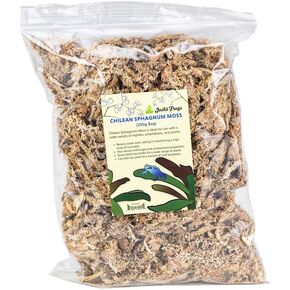 Josh's Frogs Chilean Sphagnum Moss (100g Bag)