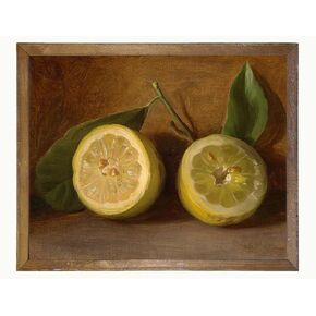 Vintage Lemon Decor - Yellow Lemon Kitchen Decor - Fruit Painting for Farmhouse Dining Pantry - Lemon Themed Wall Art Poster Picture Print for Bathroom Bedroom - Lemon Still Life Sign 8X10 Unframed