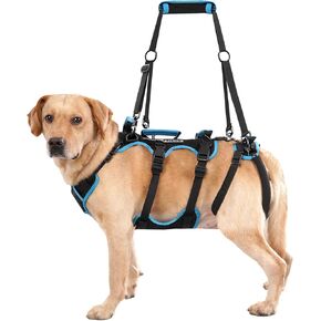 Dog Lift Harness for Large Male Dogs 2-in-1 Help Em Up Harness, Male-Friendly, Back Leg Support & Mobility Assistance, Black, Large
