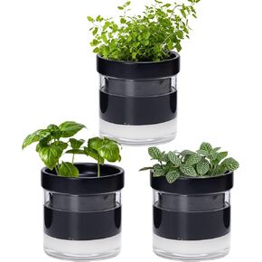 Phoenix Vine 4 Inch Self Watering Planter Pot, Black Terracotta Clay Pot with Glass Reservoir for Indoor Plants, Herbs, Flowers, Set of 3, 52-C-E-3