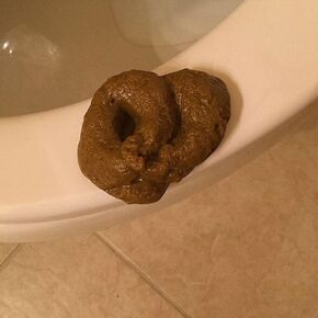 Fake Poopy Toy, Brown Realistic Fake Poop, Novelty Floating Fake Poop Toys for April Fools' Day Prank, Perfect Gag Gift, Prank Gift, Poopy Games