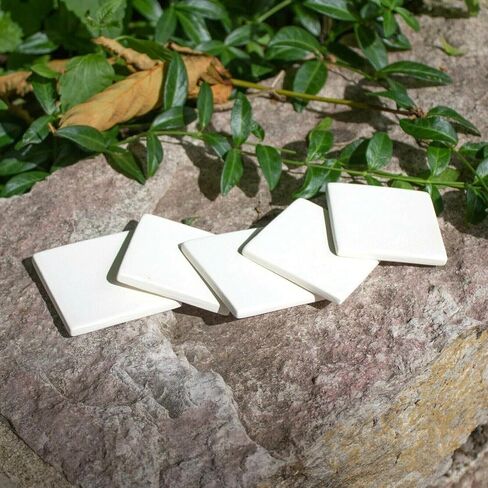 Generic 5X Square Tiles Set 2x2 in Stock Ceramic Bisque Ready to Paint Pottery, White in Saudi Arabia