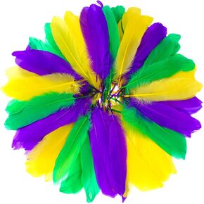 obmwang 150 Pcs 14-22cm Mardi Gras Goose Feathers Bulk Colorful Feathers for DIY Craft Carnival Costume Mardi Gras Party Decorations