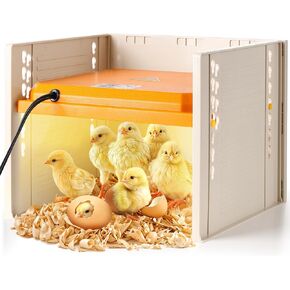 Chick Brooder, Chicken Brooder Heating Plate for Chicks with Adjustable Height and Angle