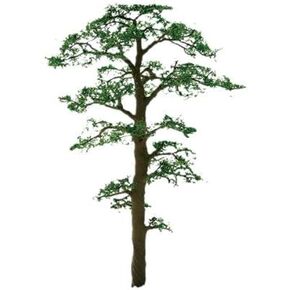 Professional Series: Scots Pine, 1"
